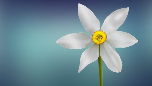 De kracht van yoga ter ondersteuning van de menstruatie door Liese van Dam