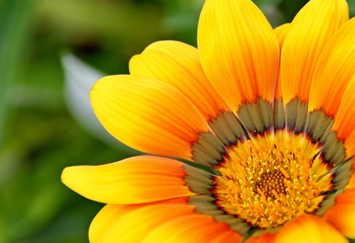 Restorative yoga en Yoga Nidra. XXL les door Diana Aben